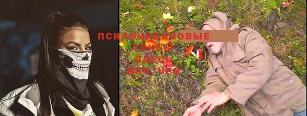 apvp Баксан