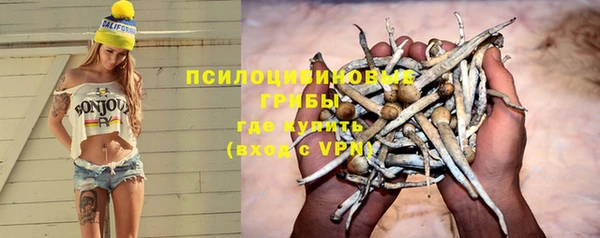 apvp Баксан